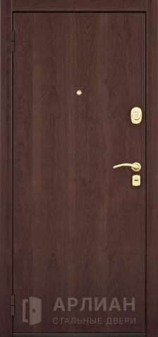 Фото №2 «Дверь для квартиры с ламинированной панелью №55»